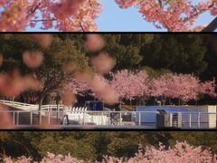-新江湾城公园