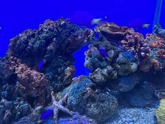 -秦皇岛新澳海底世界
