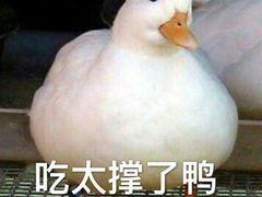 -韩宫宴烤肉·料理(南京江宁万达店)