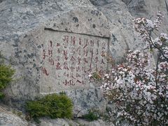 -泰山风景名胜区