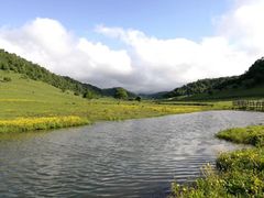 -关山草原
