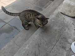 -正阳书局(西四南大街店)