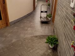 -迈格笙SPA·影院式足道·采耳(金桥店)