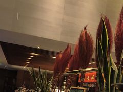 -悦椿温泉酒店·悦椿苑火锅餐厅