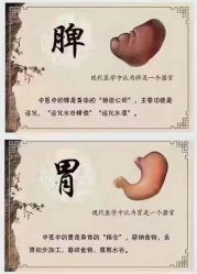 -良咔瘦身·减脂塑形