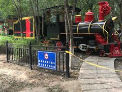-西青郊野公园