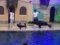 -台州海洋世界