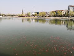 -西海子公园