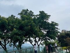 -铁山坪森林公园