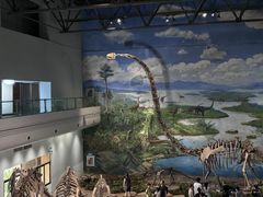 -自贡恐龙博物馆