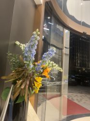-上海时光整形外科医院
