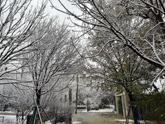 -Apple零售店(中街大悦城店)