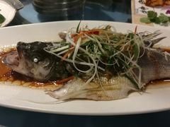 -四姐妹东北饺子(沙尾路店)