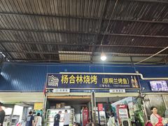 -杨合林啊兰烤鱼