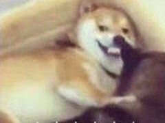 -HONGA HONGA雄家(曹路店)