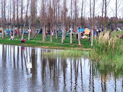 -呈贡滇池生态湿地公园