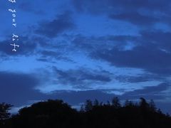 -浦江镇(地铁站)