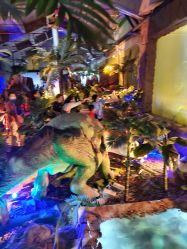 -恐龙探索乐园(磁器口店)