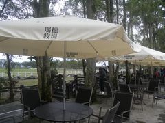 -瑞穗牧场