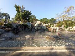 -东莞植物园