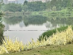 -眉山湿地公园(东坡区)