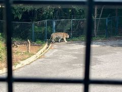 -大连森林动物园