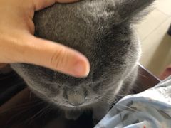 -芭比堂动物医院广州顽皮分院