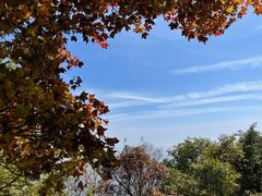 -白草畔自然风景区