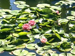 -国家植物园南园