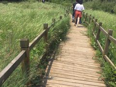 -白草畔自然风景区