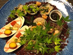 -有马温泉 竹取亭円山温泉旅馆