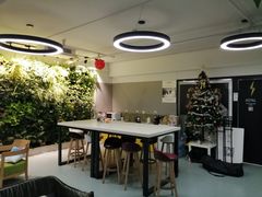 -引领英语·成人口语·雅思托福