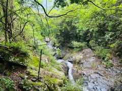-梧桐山风景名胜区