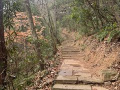 -杭州半山国家森林公园