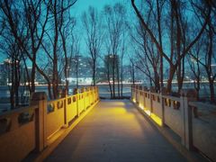 -雁滩公园