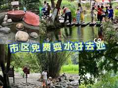 -成都市活水公园