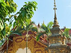 -西双版纳总佛寺