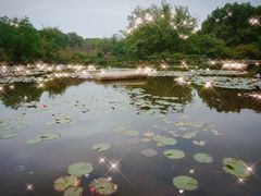 -白马涧龙池景区