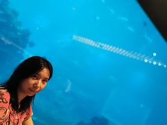 -海棠湾洲际-涛·海底餐厅·美人鱼·自助餐·海底隧道