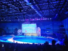 -华夏文旅海洋公园