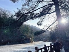 -洛阳白云山景区