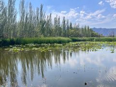 -野鸭湖国家湿地公园