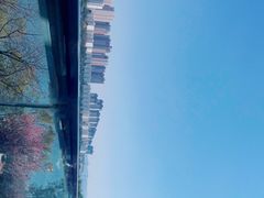 -酤居湖景音乐餐吧(安宁店)