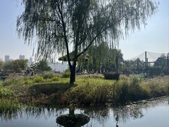-武汉动物园