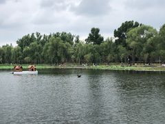 -长春市南湖公园