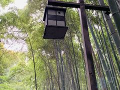 -苏州环秀晓筑养生度假村