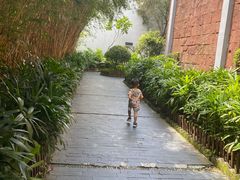 -东莞市可园博物馆