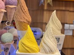 -野人先生现做冰淇淋(北京顺义祥云小镇店)
