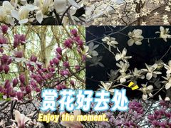-中国政法大学(昌平校区)