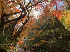 -三千院